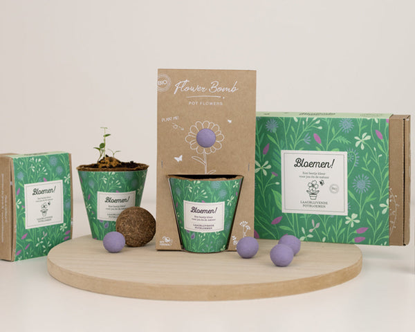 Grow kit "Bloemen!" met Laagbloeiende Mix Zaadbommetje