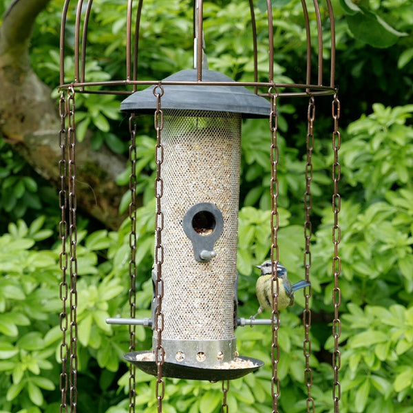 Feeder Defender - Un protecteur de mangeoire à oiseaux