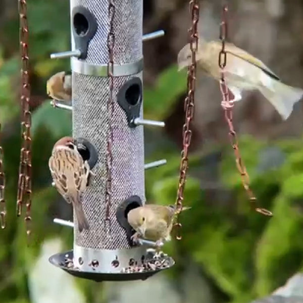 Feeder Defender - Un protecteur de mangeoire à oiseaux