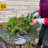 Krans Vogelnestje Simon King Handgeweven | Wildlifeworld – foto 3