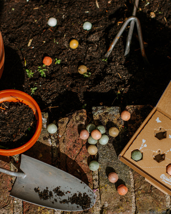 Gift Box Medium met 9 zaadbommetjes - Dank je wel