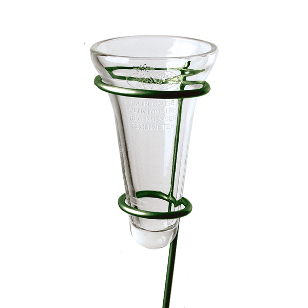 Pluviomètre vert