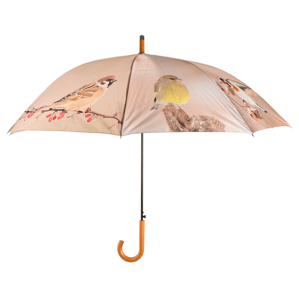 Parapluie oiseaux d'hiver