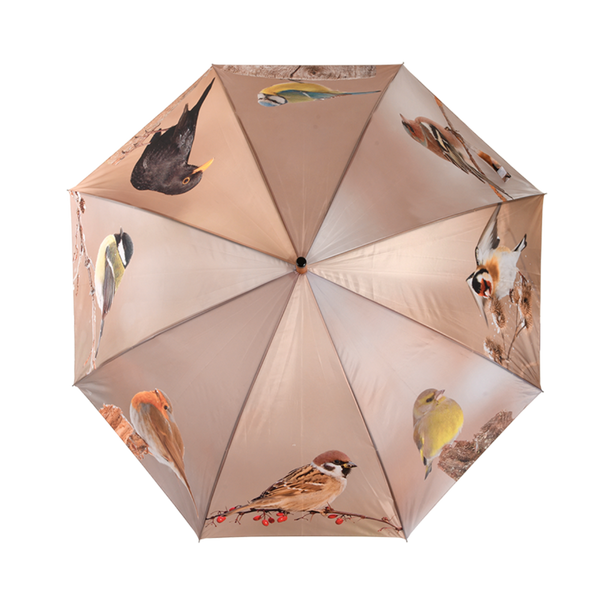 Parapluie oiseaux d'hiver