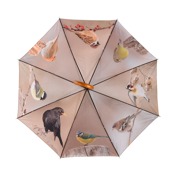 Parapluie oiseaux d'hiver