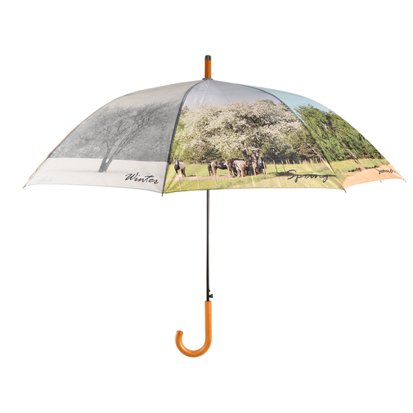 parapluie 4 saisons