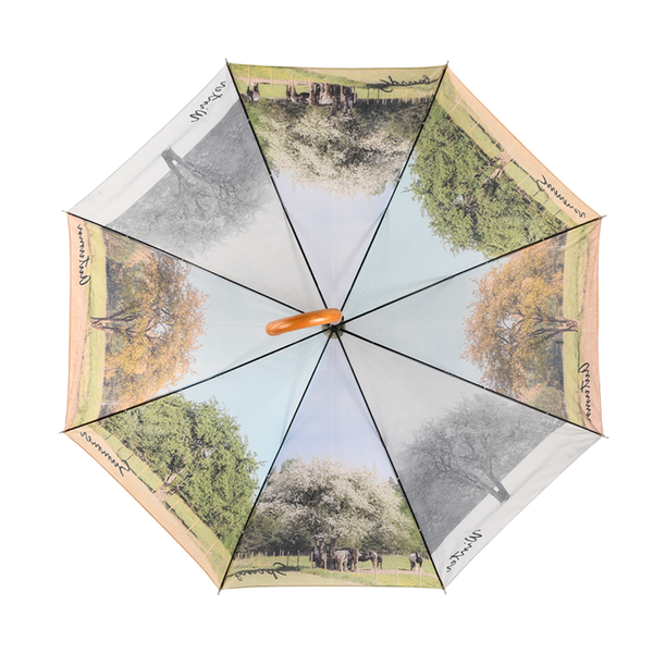 parapluie 4 saisons
