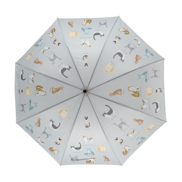 Races de chat parapluie