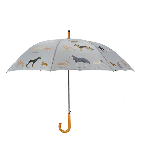 Races de chiens parapluie