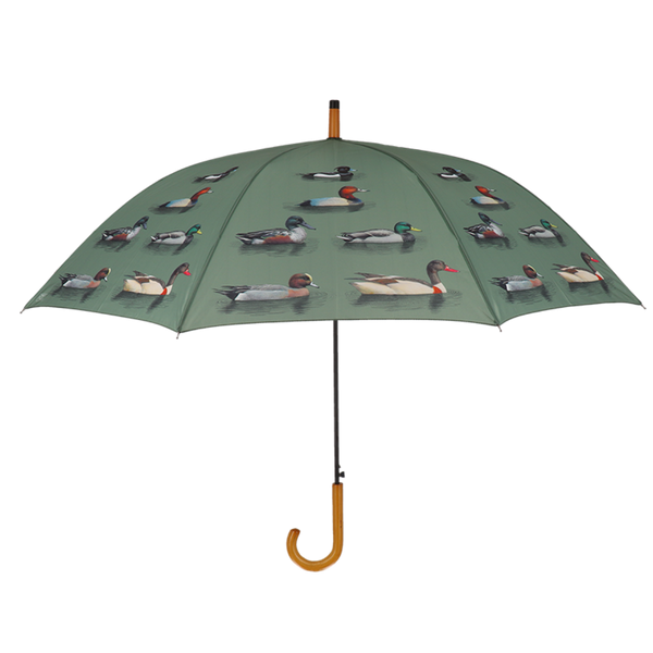 Races de canards parapluie