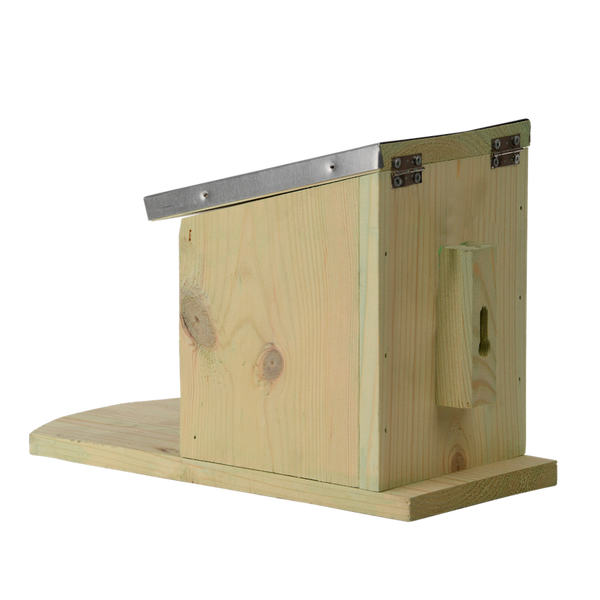 mangeoire pour écureuils