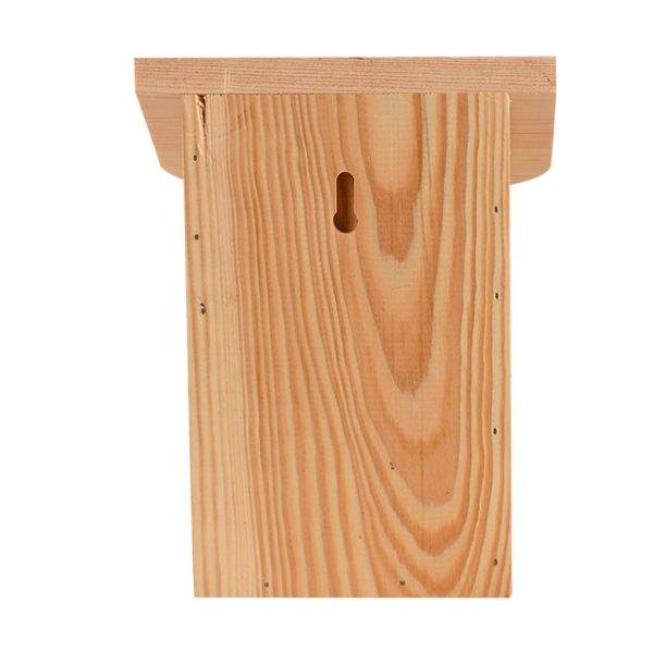 Diapositief lieveheersbeestjeshuis