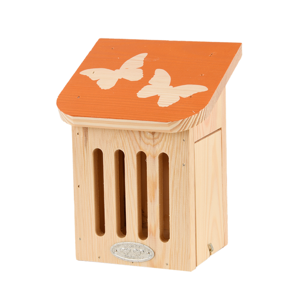 Boite papillon Diapositive