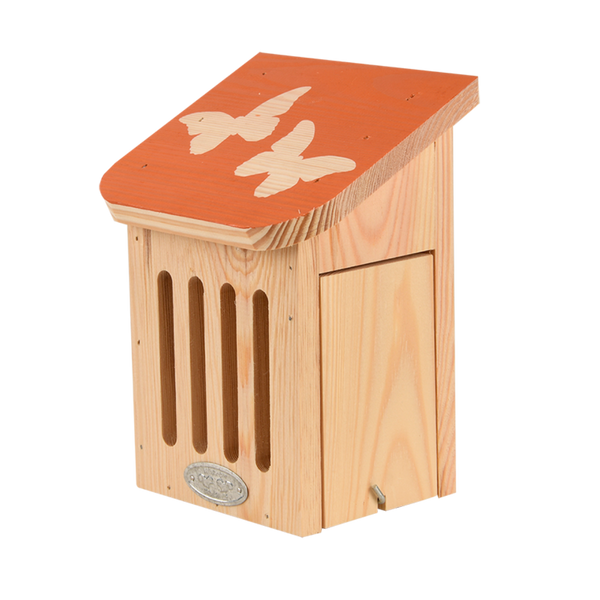 Boite papillon Diapositive