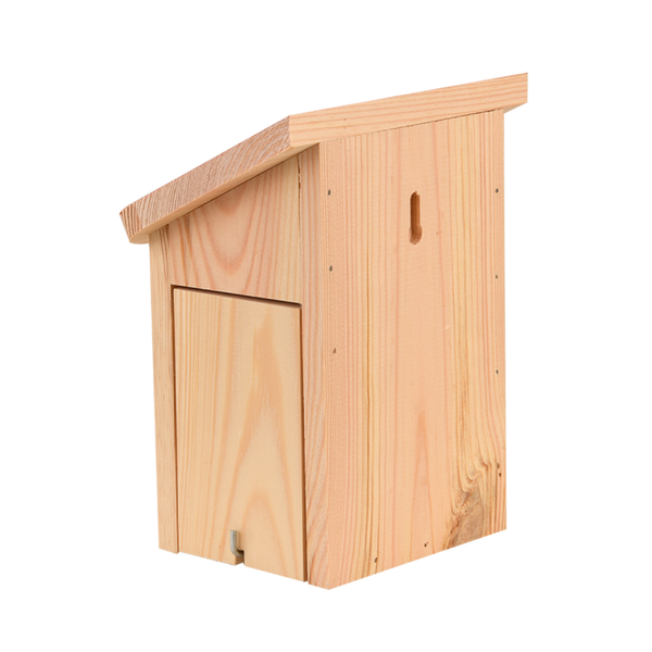 Boite papillon Diapositive