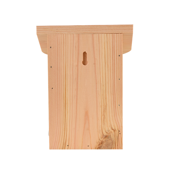 Boite papillon Diapositive