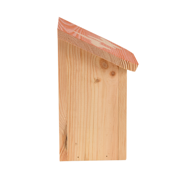 Boite papillon Diapositive