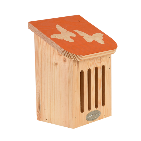 Boite papillon Diapositive