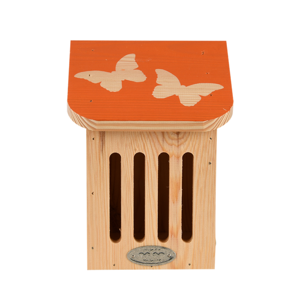 Boite papillon Diapositive