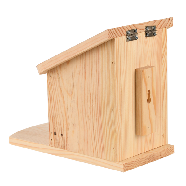 Diapositief eekhoorn voederhuis