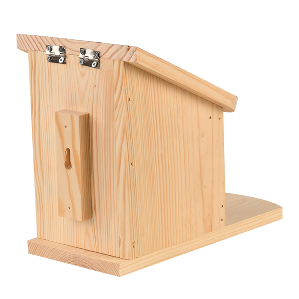 Diapositief eekhoorn voederhuis