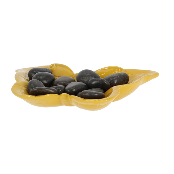 Abeille et papillon abreuvoir papillon