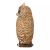 DecoBird - Hibou moyen-duc