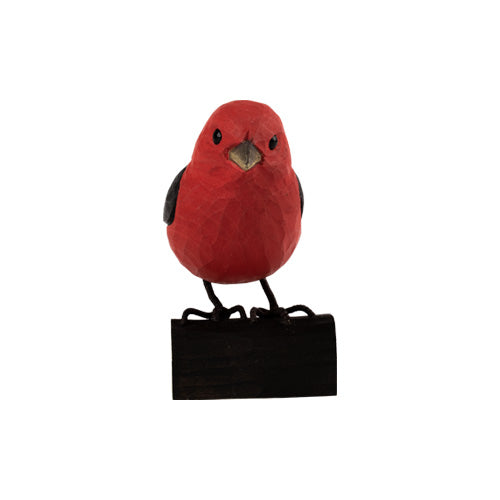 DecoBird - Tangara à ailes noires