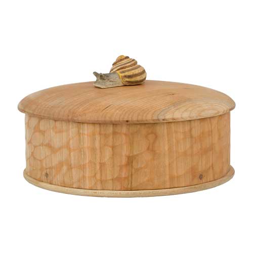 Houten kistslak