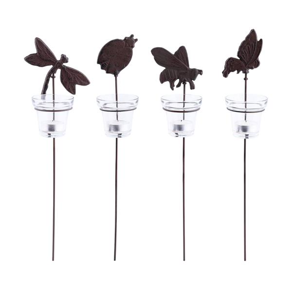 Tuinkandelaars insekten 1st.