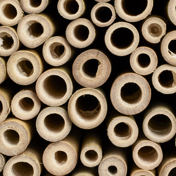 Essential bijenhotel fibrous grey – insectenhotel voor solitaire bijen | Duurzaam gerecycled kunststof & weerbestendig