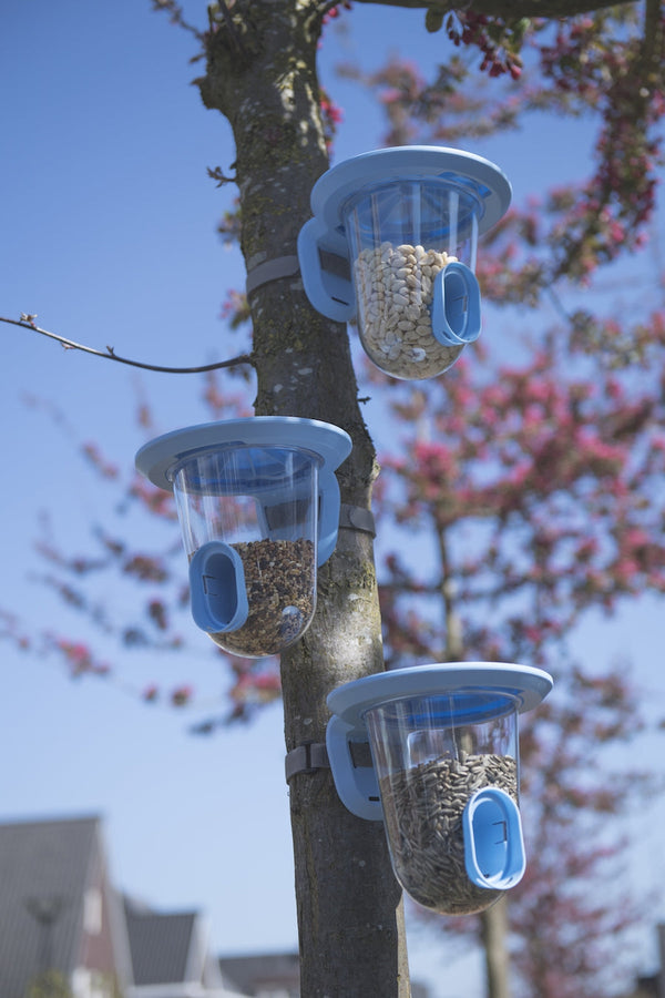 SingingFriend - FeedR bleu transparent