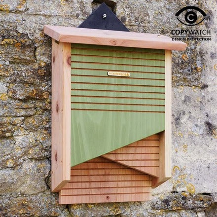 maison de chauve-souris