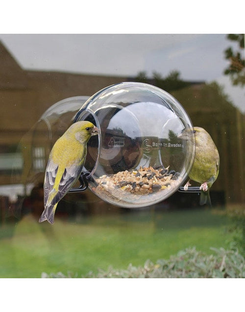 BirdFeeder Raamvoederhuisje – Transparant Vogelvoerhuisje voor op het Raam (15 x 10 x 15 cm)