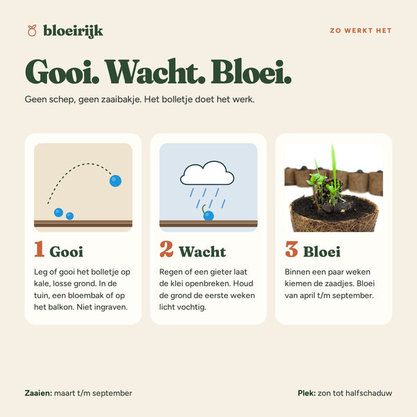 Zo werkt een zaadbom: gooi, wacht, bloei