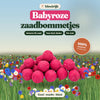 Babyroze zaadbommetjes van bloeirijk in een bloemenweide