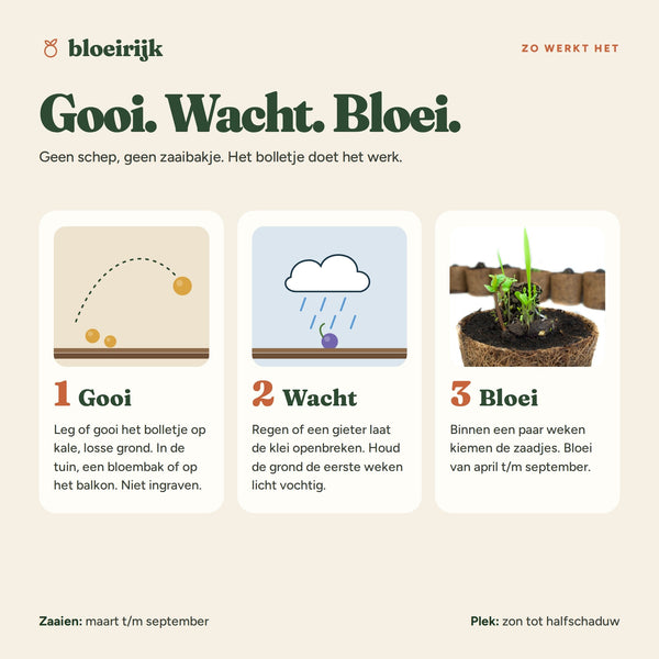 Zo werkt een zaadbom: gooi, wacht, bloei
