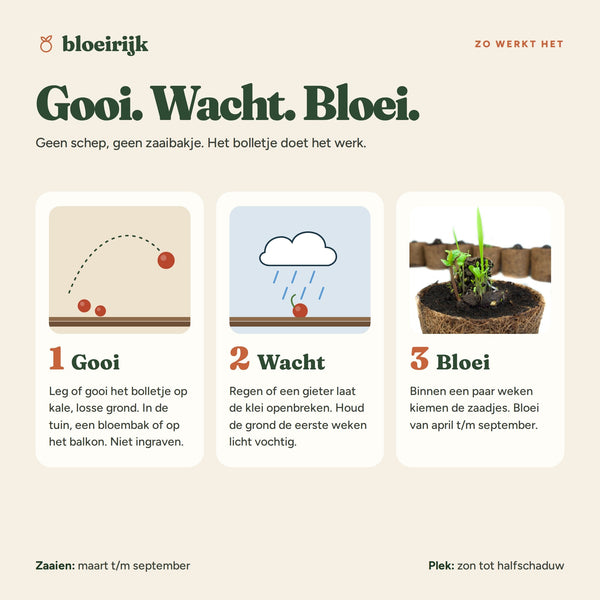 Zo werkt een zaadbom: gooi, wacht, bloei