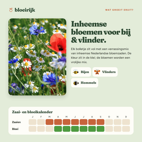 Wat groeit er uit rode zaadbommetjes, met zaai- en bloeikalender