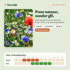 Wat groeit er uit zaadbommen 100% natuurlijk, met zaai- en bloeikalender