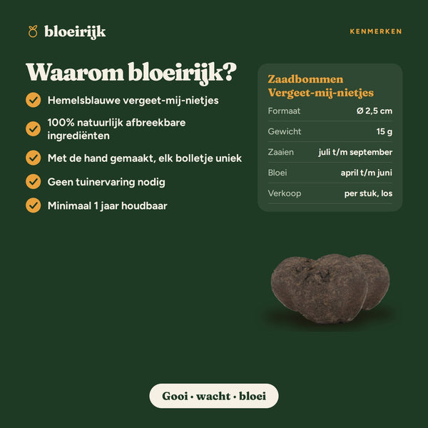 Kenmerken van zaadbommen vergeet-mij-nietjes