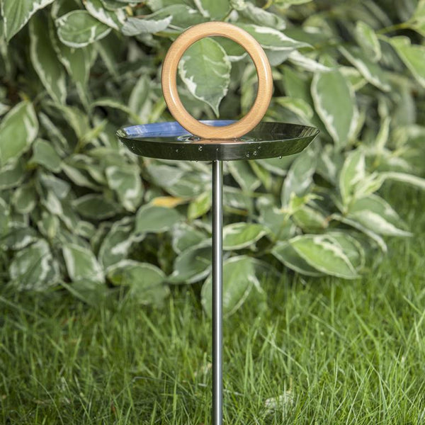 Bain d'oiseau Bain d'oiseau Né en Suède or