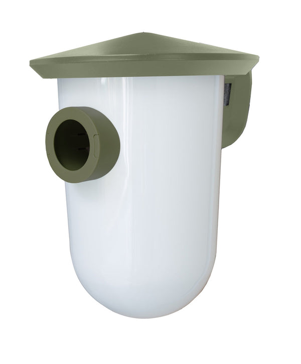 SingingFriend - largeR vert sauvage