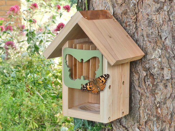 Cabanon à papillons