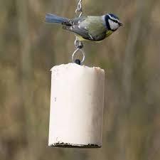 Gâteau aux cacahuètes aux insectes 500ml