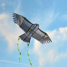 Cerf-volant anti-oiseau