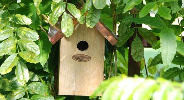 Esschert design - Nichoir troglodyte cuivre da