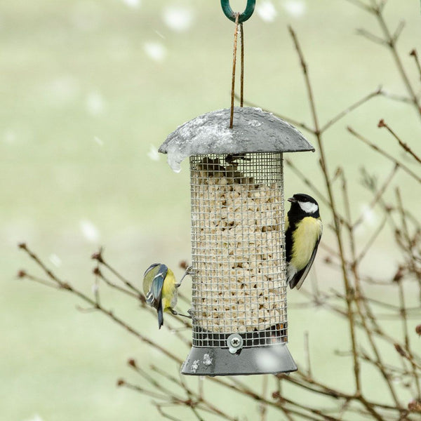 Aventurier du silo à cacahuètes 24 cm