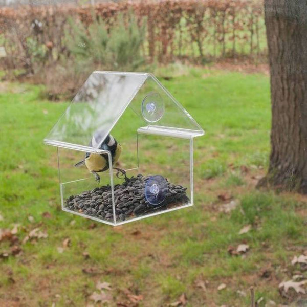 Boîtier de chargeur de fenêtre transparent simple