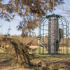 Mangeoire silo à graines anti-écureuil